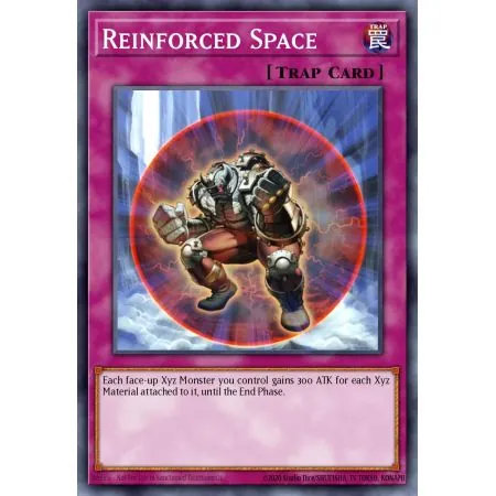 Reinforced Space (Common)