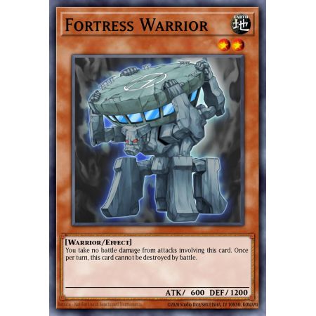 Fortress Warrior (Common)