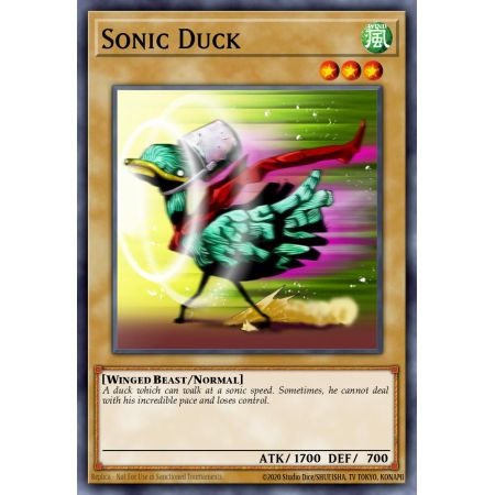 Sonic Duck (Common)