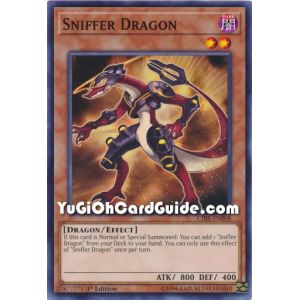 Sniffer Dragon