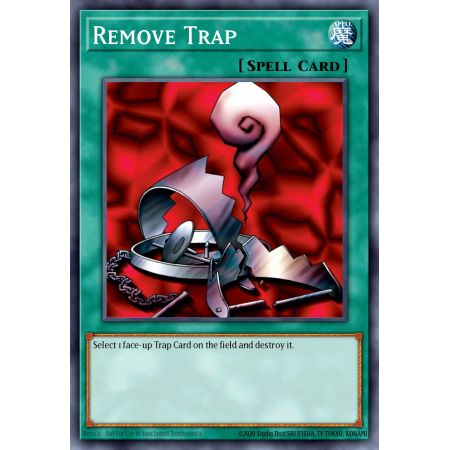 Remove Trap (Common)