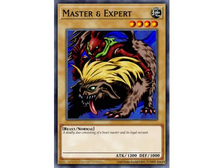 Master & Expert (Common)