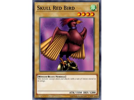 Skull Red Bird (Common)