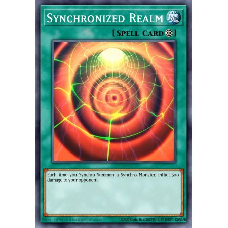Synchronized Realm (Common)