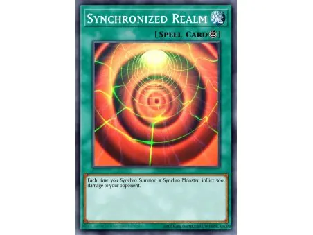 Synchronized Realm (Common)