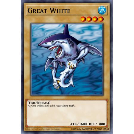 Great White (Common)