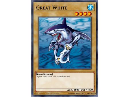 Great White (Common)