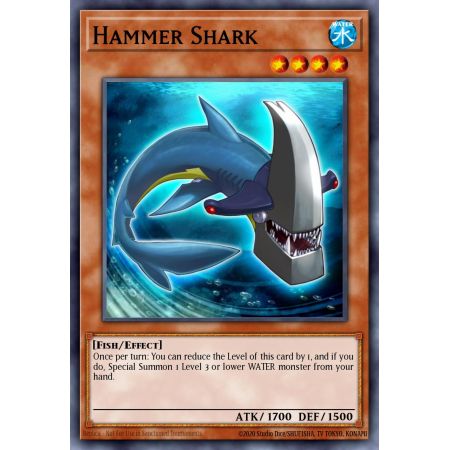 Hammer Shark (Common)