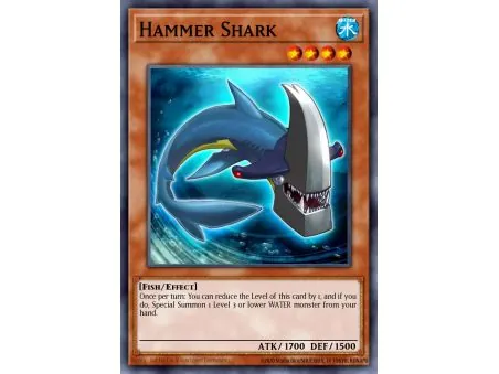 Hammer Shark (Common)