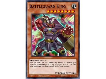 Battleguard King (Common)