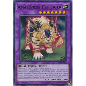 Amazoness Pet Liger