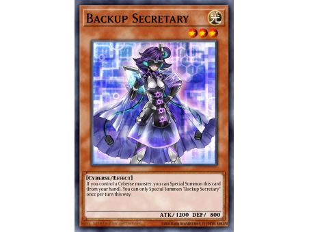 Backup Secretary (Common)