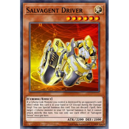 Salvagent Driver (Common)