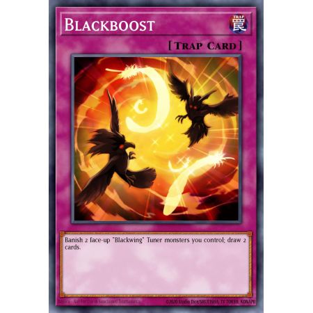 Blackboost (Common)