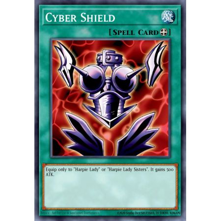 Cyber Shield (Common)