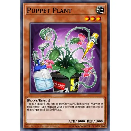 Puppet Plant (Common)