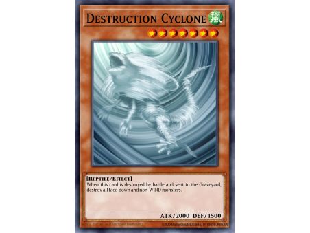 Destruction Cyclone (Common)
