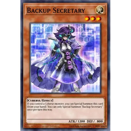 Backup Secretary (Common)