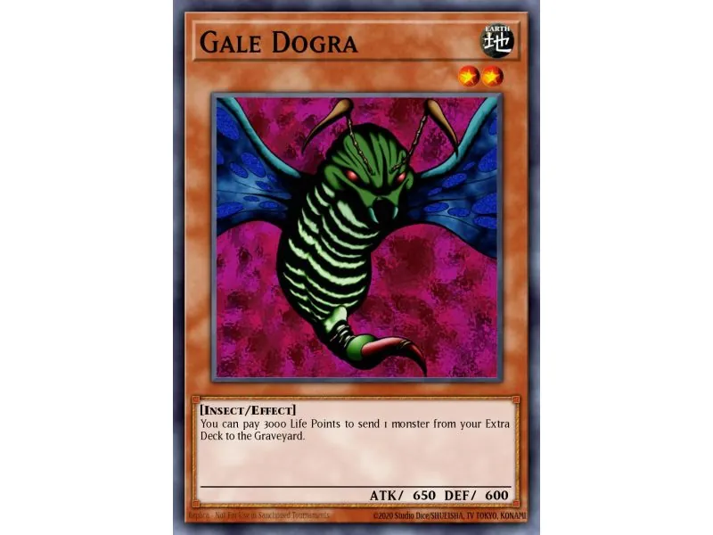 Gale Dogra (Common)