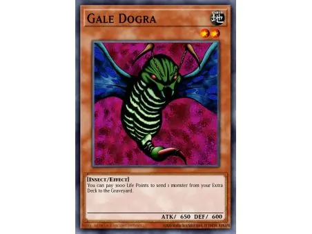 Gale Dogra (Common)