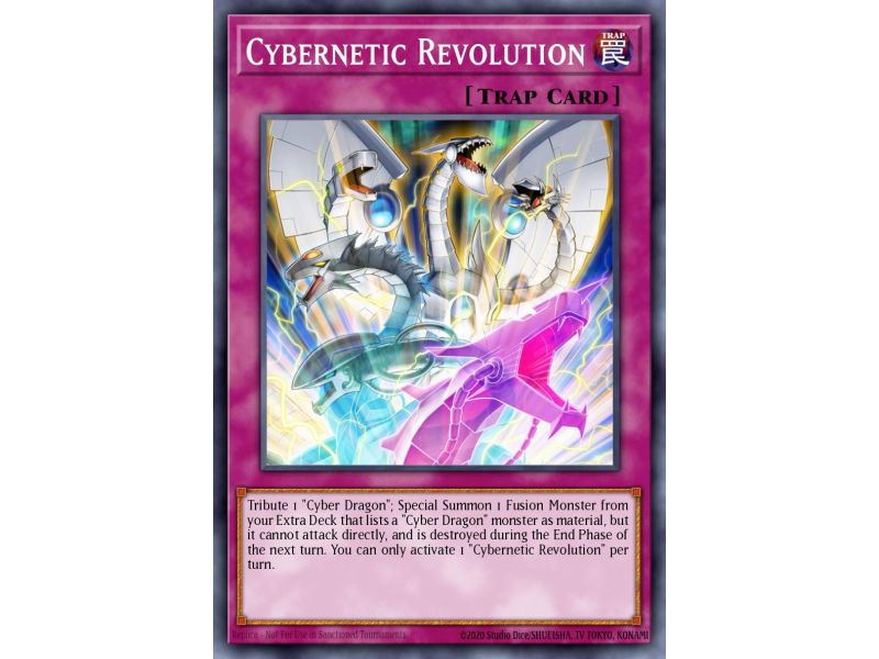 Cybernetic Revolution (Common)