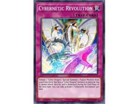 Cybernetic Revolution (Common)