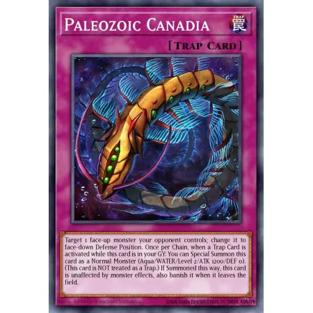 Paleozoic Canadia (Common)