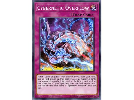 Cybernetic Overflow (Common)