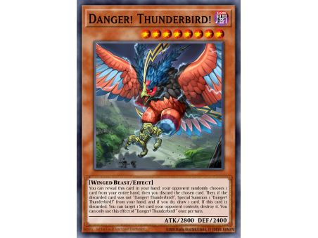 Danger! Thunderbird! (Common)