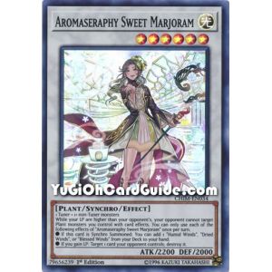 Aromaseraphy Sweet Marjoram (Super Rare)