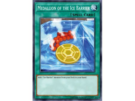 Medallion of the Ice Barrier (Common)