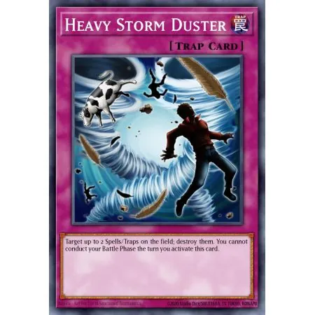 Heavy Storm Duster (Common)
