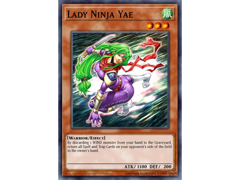 Lady Ninja Yae (Common)