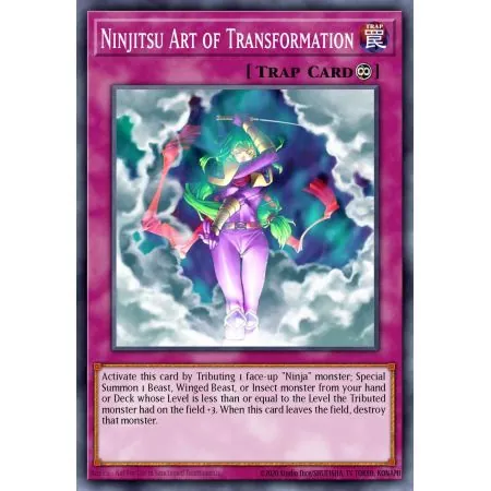 Ninjitsu Art of Transformation (Common)