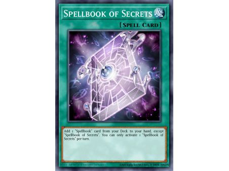 Spellbook of Secrets (Common)
