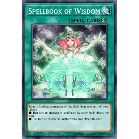 Spellbook of Wisdom (Common)