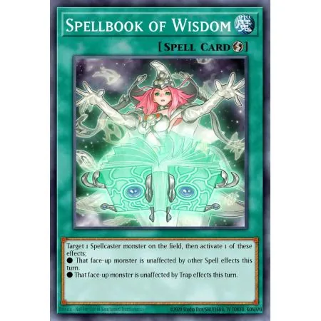 Spellbook of Wisdom (Common)