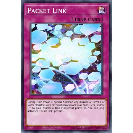 Packet Link (Common)