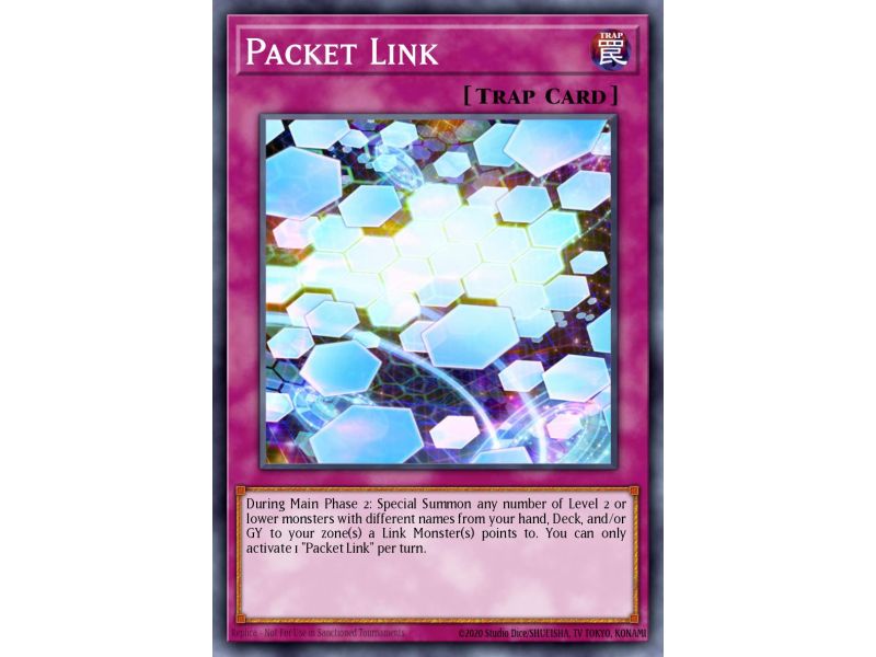 Packet Link (Common)