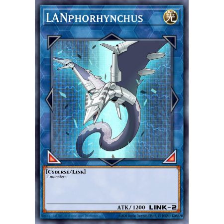 LANphorhynchus (Common)
