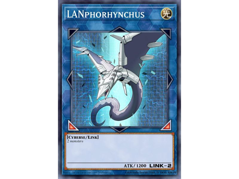 LANphorhynchus (Common)