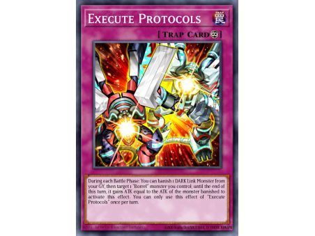 Execute Protocols (Common)