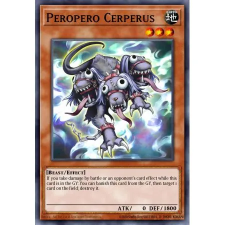 Peropero Cerperus (Common)