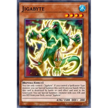 Jigabyte (Common)