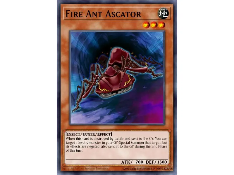 Fire Ant Ascator (Common)