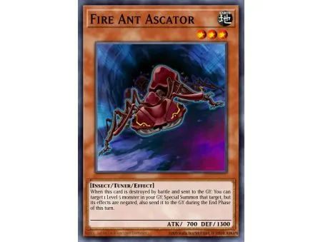Fire Ant Ascator (Common)