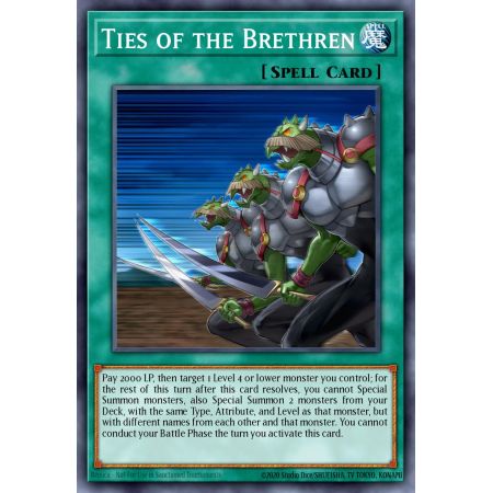 Ties of the Brethren (Common)
