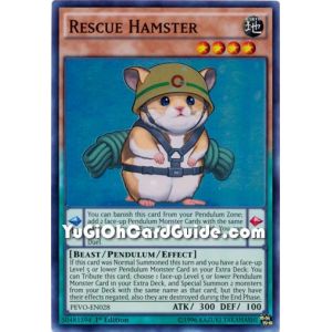 Rescue Hamster