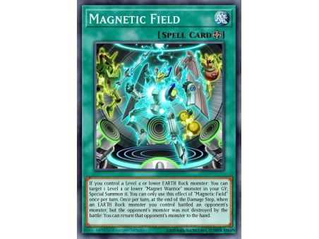Magnetic Field (Common)