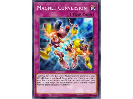 Magnet Conversion (Common)